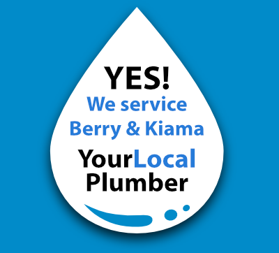 Yes! We are a local Berry plumber.